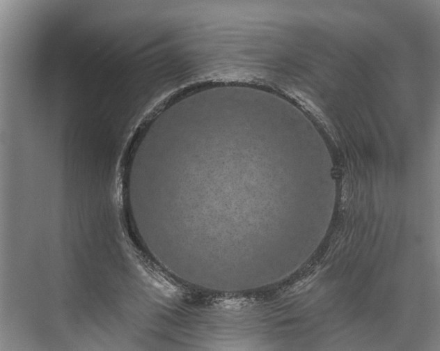 X0000073400584200608040929