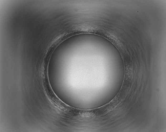 X0000073400587200608040929