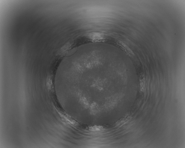 X0000073400618200608040928