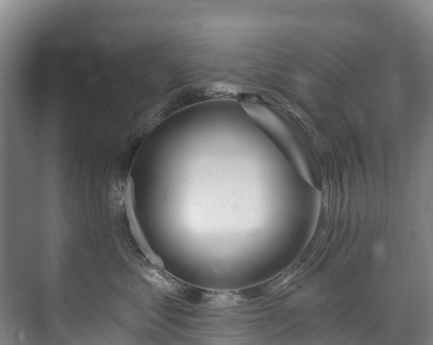 X0000073400621200608040928