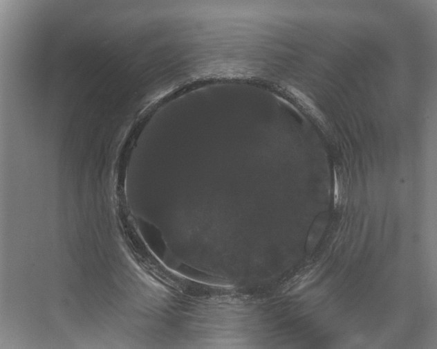 X0000073400627200608040928