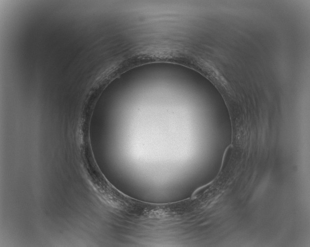 X0000073400635200608040928