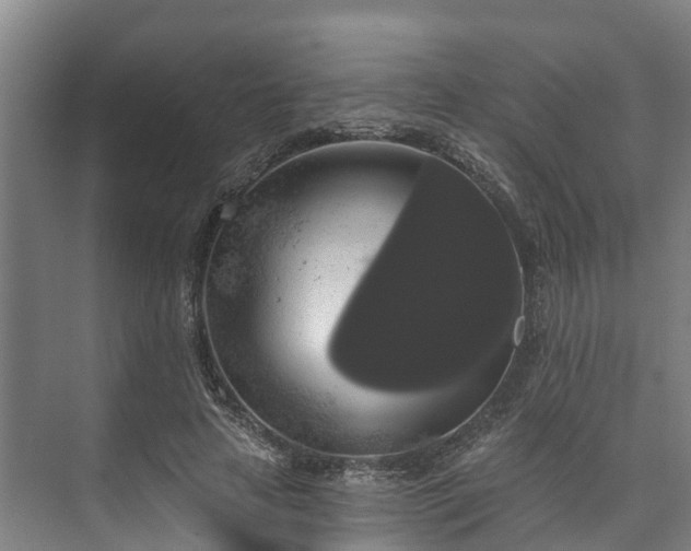 X0000073400641200608040928