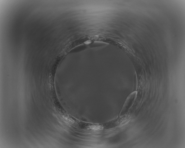 X0000073400659200608040928