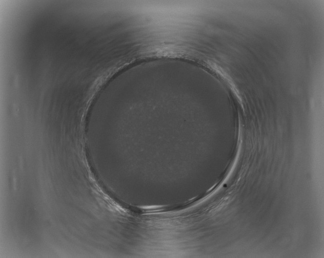 X0000073400673200608040928
