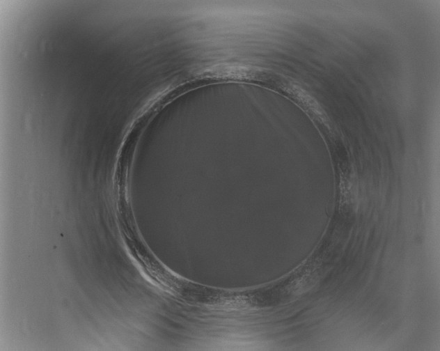 X0000073400674200608040928