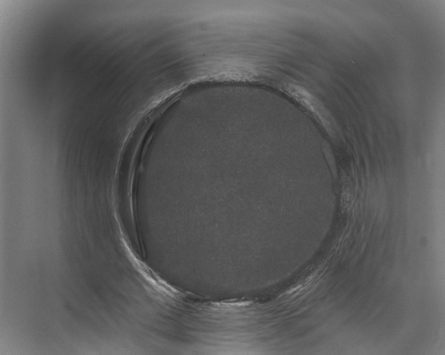 X0000073400677200608040927
