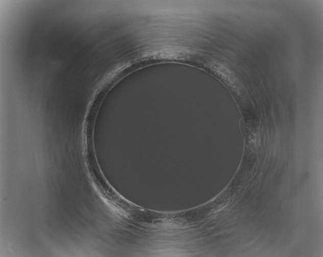 X0000073400678200608040927