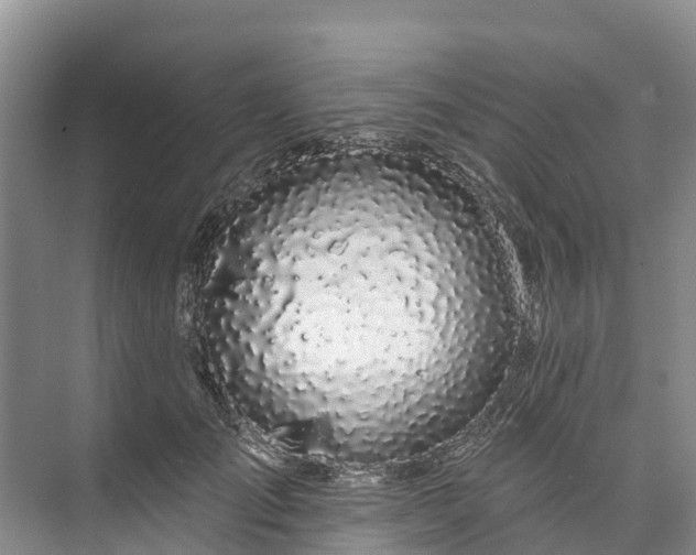 X0000073400701200608040927