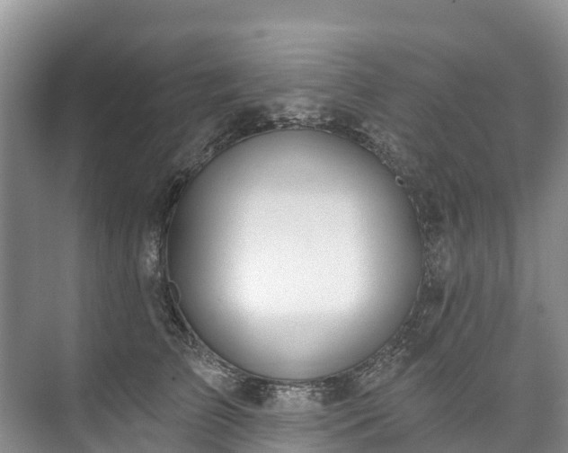 X0000073400709200608040927