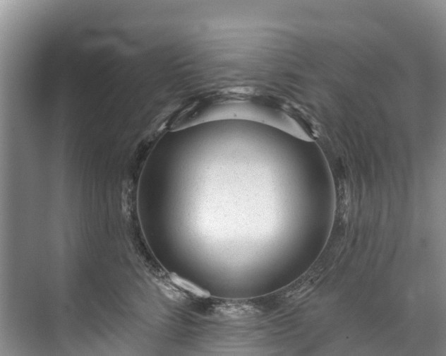 X0000073400712200608040927