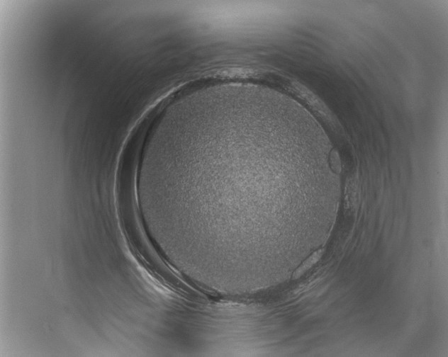 X0000073400722200608040926