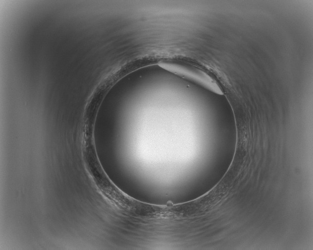 X0000073400736200608040926