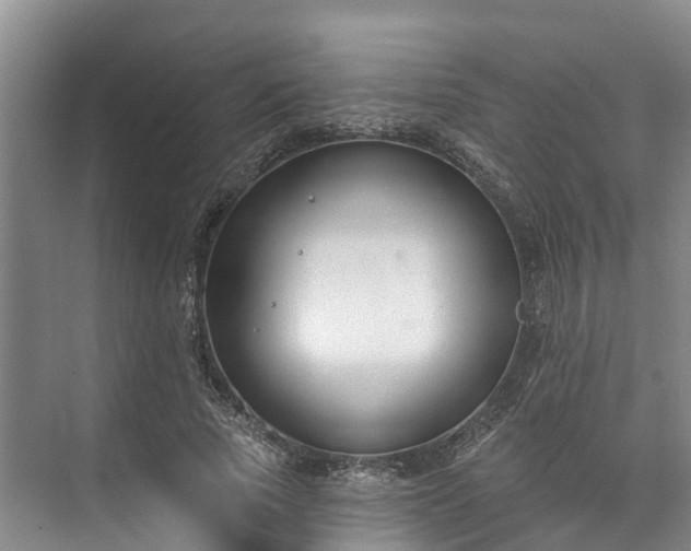 X0000073400737200608040926
