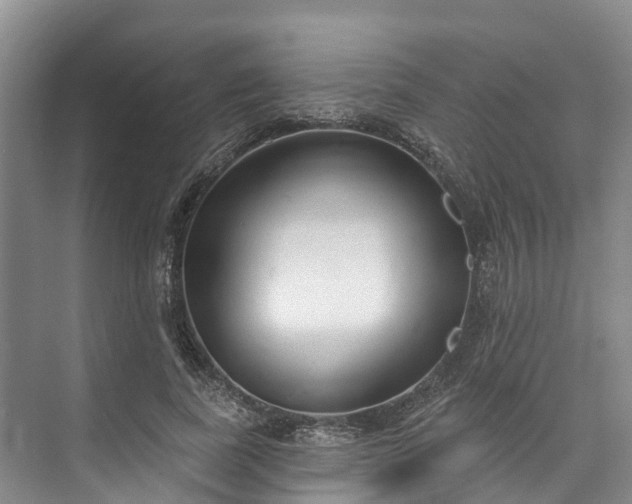 X0000073400739200608040926