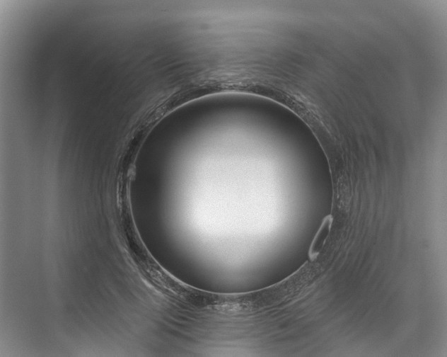 X0000073400740200608040926