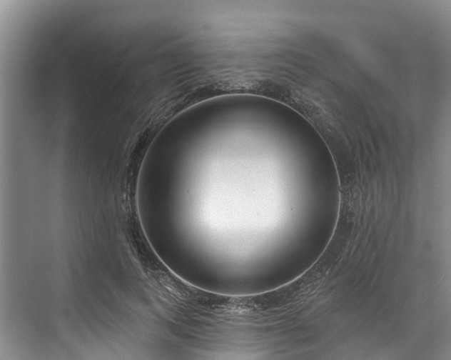 X0000073400743200608040926