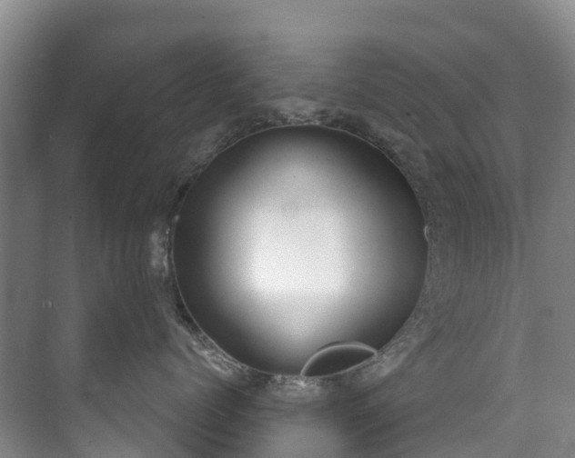 X0000073400768200608040927