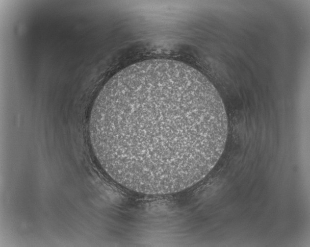 X0000073400769200608040926