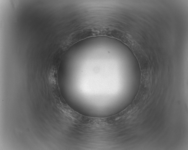 X0000073400770200608040926