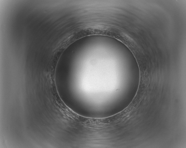 X0000073400774200608040926