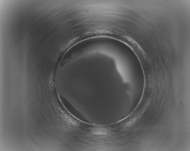 X0000073400785200608040926