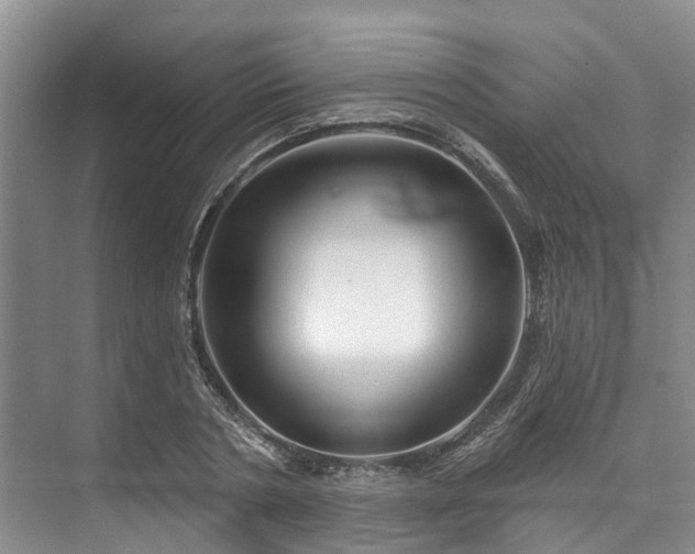 X0000073400786200608040926