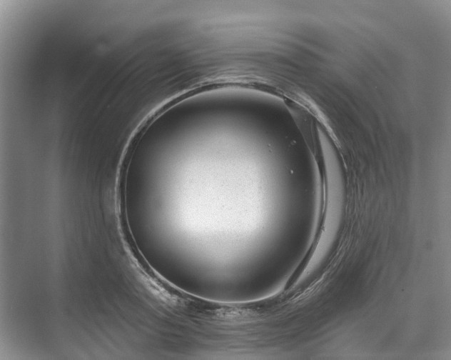 X0000073400795200608040926