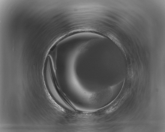 X0000073400797200608040925