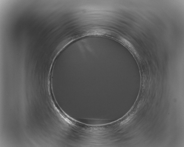 X0000073400802200608040925