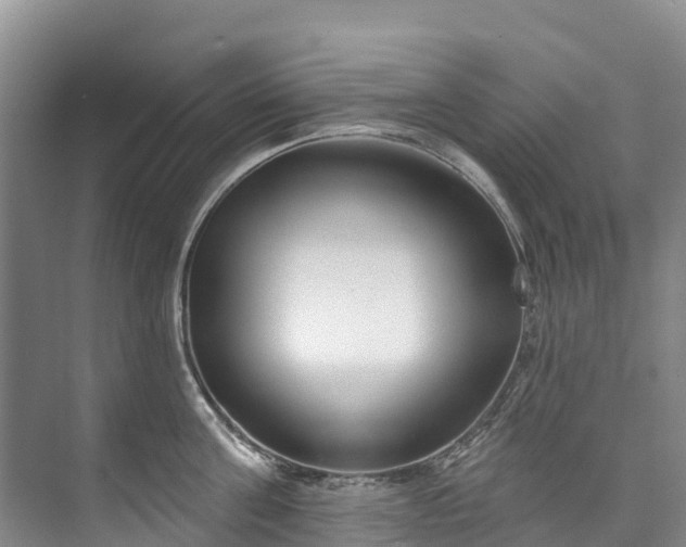 X0000073400811200608040925