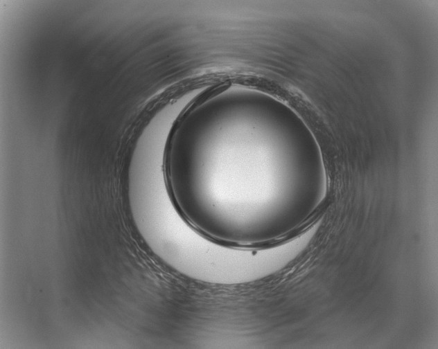 X0000073400822200608040924