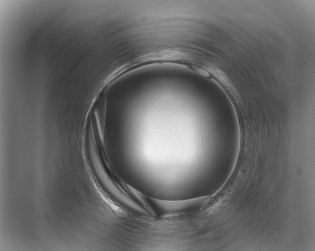X0000073400850200608040925