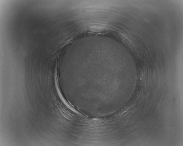 X0000073400868200608040924