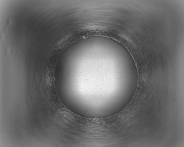 X0000073400869200608040924