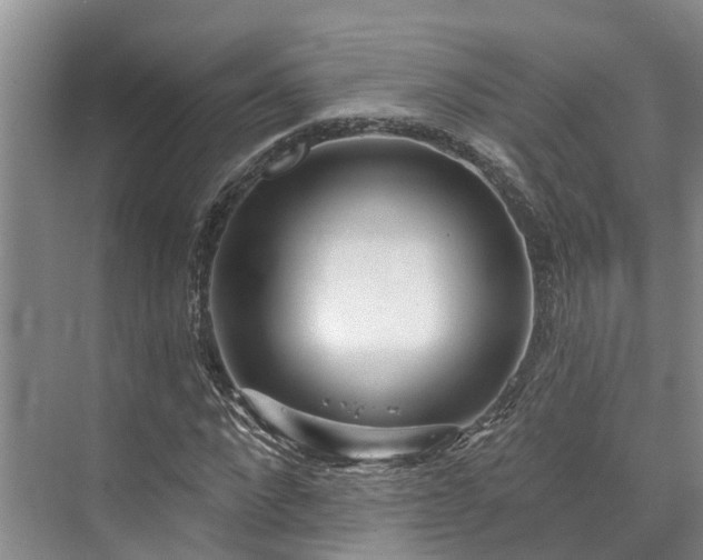 X0000073400872200608040924
