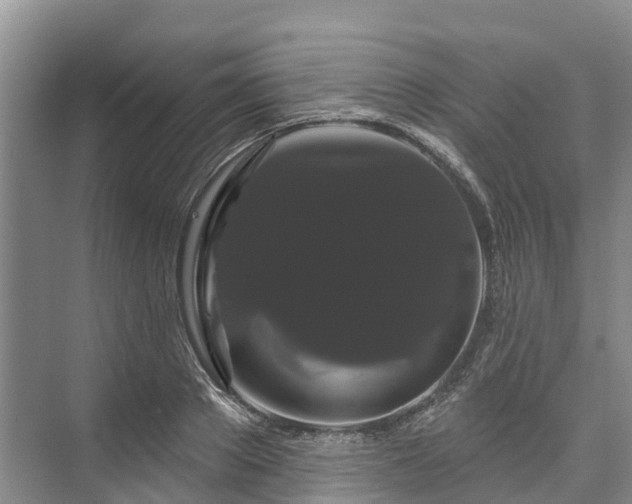 X0000073400889200608040924