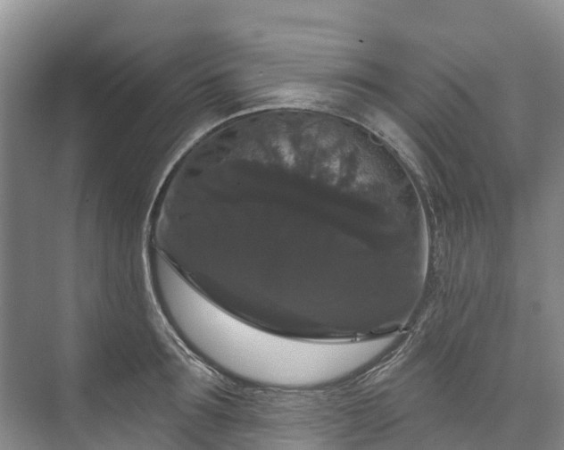 X0000073400899200608040924