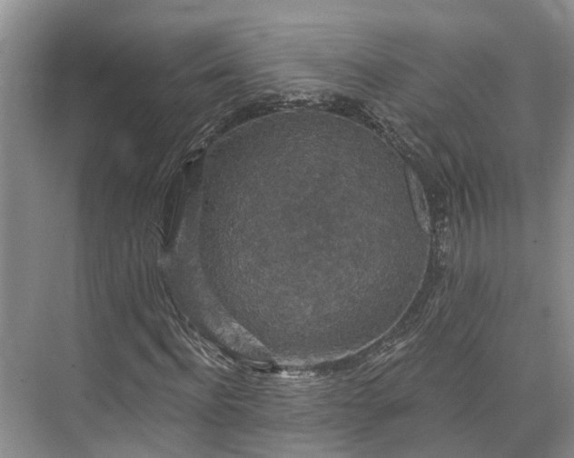 X0000073400916200608040923