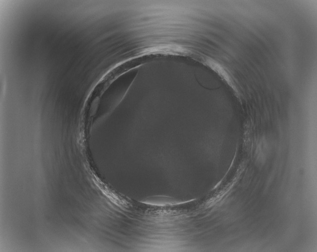 X0000073400923200608040923