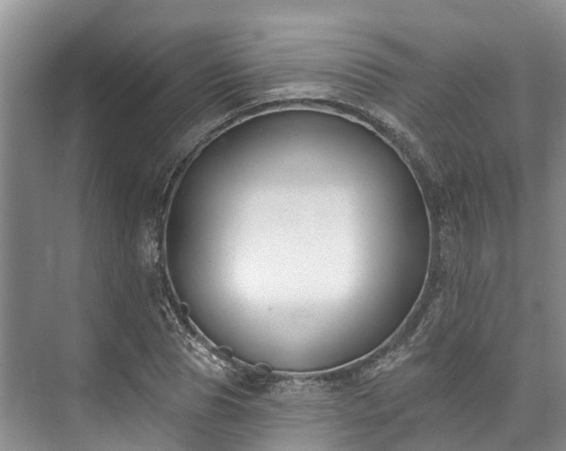 X0000073400929200608040923