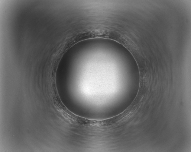 X0000073400961200608040923