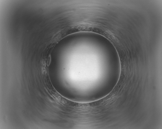 X0000073400964200608040923