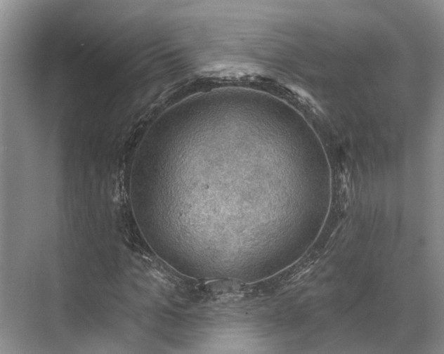 X0000073400965200608040923