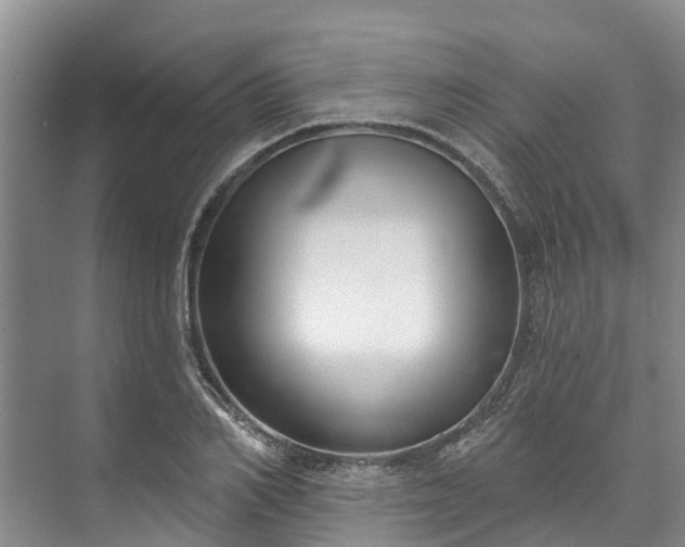 X0000073400982200608040922