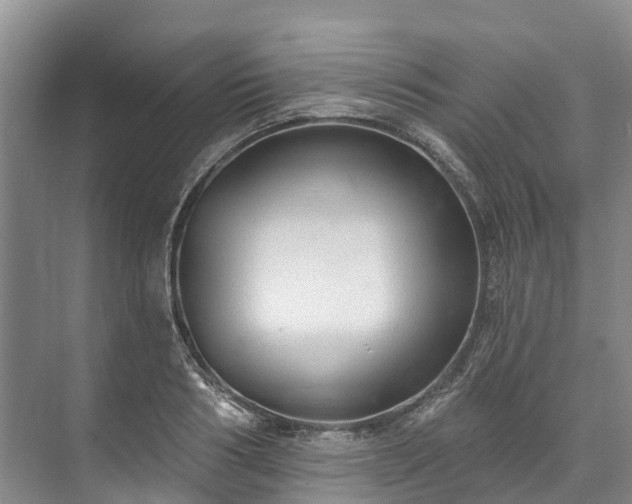 X0000073400986200608040922