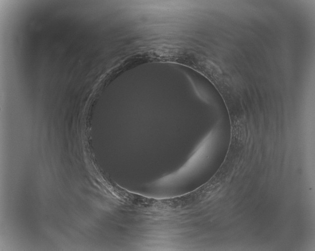 X0000073401009200608040921