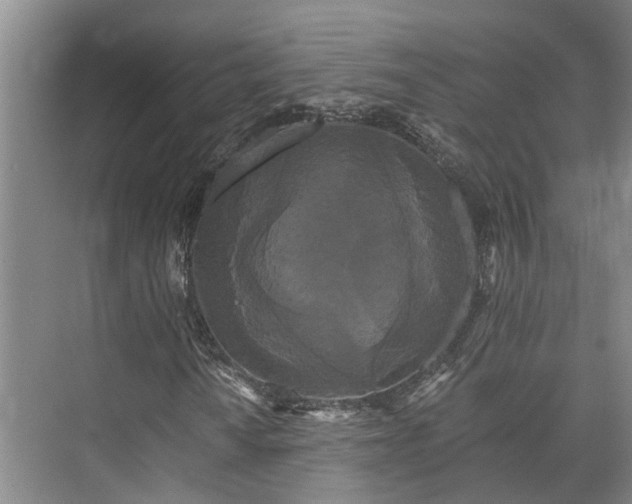 X0000073401010200608040921