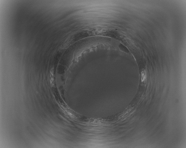 X0000073401011200608040921