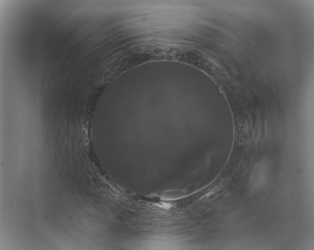 X0000073401013200608040921